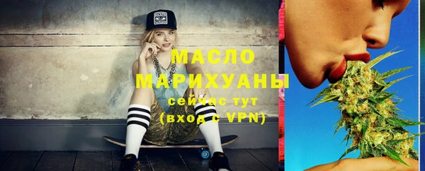 молекула духа Арсеньев