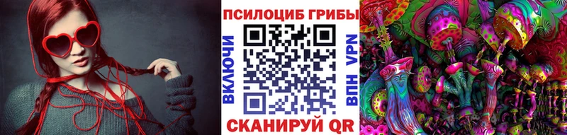 Галлюциногенные грибы Psilocybine cubensis hydra вход Александровск